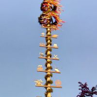 2022-04-26_Bild_Maibaum Dellmensingen